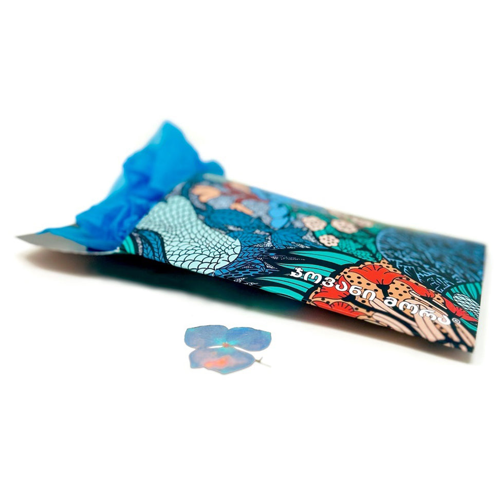პასპორტის ჩასადები იცხოვრე შენი ცხოვრებით
